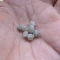 1.89CT Fancy Colour Raw Diamond Natural Rough Diamond Uncut Rustic Diamond