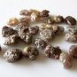 2.50Ct Natural Raw Brown Red Diamond Loose Rough Uncut Diamonds Use For Jewelry