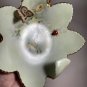 Green Leaf Dish Nappy Butterfly Ladybug Roses Gold Trim Hand Painted EUC USA 1977 Signed V. Otey