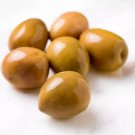 10 Gordal Olive Seeds Fresh Seeds Fast Shipping