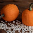 25 Autumn Gold Pumpkin Seeds Fresh Seeds Fast Shipping