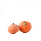 25 Gold Nugget Squash Seeds Planting Fresh Seeds Fast Shipping