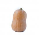 25 Honeynut Squash Seeds Planting Fresh Seeds Fast Shipping