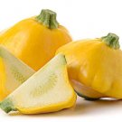 25 Sunburst Squash Seeds Fresh Seeds Fast Shipping