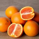5 Cara Cara Orange Seeds Fresh Seeds Fast Shipping