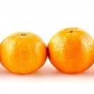 5 Hamlin Orange Seeds Fresh Seeds Fast Shipping