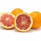 5 Valentine Pummel Grapefruit Seeds Fresh Seeds Fast Shipping