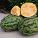 50 Orangeglo Watermelon Seeds Fresh Seeds Fast Shipping