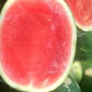 50 Red Ruby Seedless Watermelon Seeds Fresh Seeds Fast Shipping