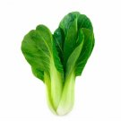 500 Bok choy Chinese Cabbage Seeds Fresh Seeds Fast Shipping