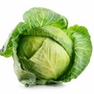 500 Golden Acre Cabbage Seeds Fresh Seeds Fast Shipping