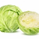 500 White Common Cabbage Seeds Fresh Seeds Fast Shipping