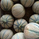Cantaloupe Seeds 50 Hearts Of Gold Melon Fruit Fresh Seeds Fast Shipping