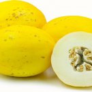 Canary Melon Seeds 25 Yellow Fruit Cucumis Melo Fresh Seeds Fast Shipping
