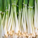 Nebuka Onion Seeds 200 Evergreen Bunching Japanese Vegetable Fresh Seeds Fast Shipping