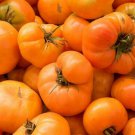 Amana Orange Tomato Seeds 50 Indeterminate Vegetables Fresh Seeds Fast Shipping