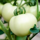 White Beefsteak Tomato Seeds 100 Vegetables Indeterminate Fresh Seeds Fast Shipping