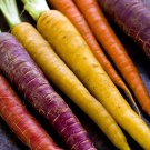 Rainbow Carrot Seeds 500 Vegetable Soups Fresh Seeds Fast Shipping