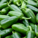 Jalapeno M Pepper Seeds 50 Spicy Mexican Salsa Fresh Seeds Fast Shipping