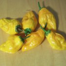 Orange Pepperoncini Pepper Seeds 30 Hot Exotic Spice Vegetables Salsa Fresh Seeds Fast Shipping