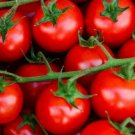 Large Red Cherry Tomato Seeds 100 Vegetables Sauce Salad Fresh Seeds Fast Shipping
