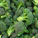 Broccoli Seeds 500 Waltham 29 Vegetables Fresh Seeds Fast Shipping