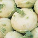 Kohlrabi Seeds 300 White Vienna Vegetable Fresh Seeds Fast Shipping