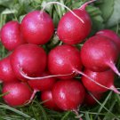 Radish Seeds Cherry Belle 200 Vegetables Survival Fresh Seeds Fast Shipping