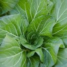 Vates Collard Greens Seeds 300 Vegetables Salad Fresh Seeds Fast Shipping