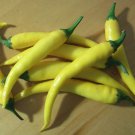 Yellow Cayenne Hot Pepper Seeds 50 Seeds Rare Very Productive Spicy Fresh Seeds Fast Shipping