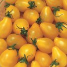 Yellow Pear Tomato Seeds 100 Ct Vegetable Fresh Seeds Fast Shipping