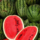 Cal Sweet Supreme Watermelon Seeds 25 Fruit Melon Fresh Seeds Fast Shipping