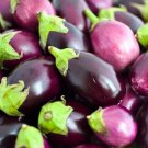 Round Eggplant Seeds 50 Vegetable Asian Cuisine Fresh Seeds Fast Shipping