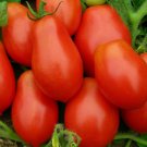 Roma Tomato Seeds 100 Vegetables Sauce Salad Fresh Seeds Fast Shipping