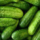 Cucumber Seeds 50 National Pickling Vegetable Pickling Fresh Seeds Fast Shipping