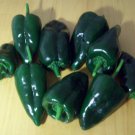 Ancho Poblano Pepper Seeds 30 Chili Poblano Mild Spice Vegetable Fresh Seeds Fast Shipping