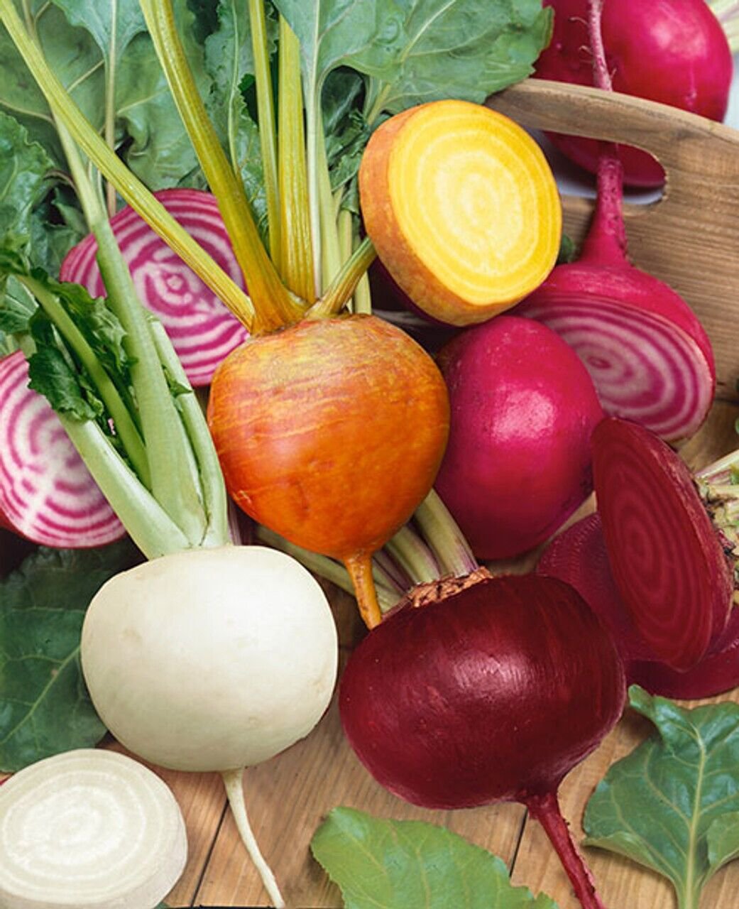 Rainbow Blend Beet Mix 50 Ct Multiple Colors Fresh Seeds Fast Shipping