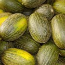 Piel De Sapo Melon Seeds 25 Santa Claus Fruitrare Fresh Seeds Fast Shipping