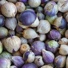 Purple Tomatillo Seeds 50 Vegetable Salsa Mexican Fresh Seeds Fast Shipping