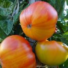 Pineapple Tomato Seeds 50 Indeterminate Vegetable Fresh Seeds Fast Shipping
