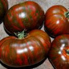 Chocolate Stripes Tomato Seeds 50 Indeterminate Vegetable Fresh Seeds Fast Shipping