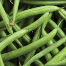 Strike Bean Seeds 50 Ct Bush Pod Green Vegetable Fresh Seeds Fast Shipping