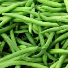 Kentucky Wonder Pole Bean Seeds 50 Ct Vegetable Fresh Seeds Fast Shipping