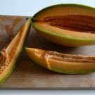 Banana Cantaloupe 12 Seeds Fresh Seeds Fast Shipping