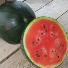Blacktail Mountain Watermelon Seeds Fresh Seeds Fast Shipping