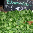 Bloomsdale Long Standing Spinach For Rare Seeds Fresh Seeds Fast Shipping