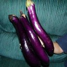 Chinese Long Purple Eggplant 25 Seeds Fresh Seeds Fast Shipping