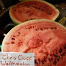 Chris Cross Watermelon Seeds Fresh Seeds Fast Shipping