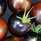 Cosmic Eclipse Tomato Seeds For 800 Kinds Of Seeds Fresh Seeds Fast Shipping