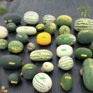 Custom Watermelon Mix Fresh Seeds Fast Shipping